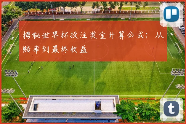 揭秘世界杯投注奖金计算公式：从赔率到最终收益
