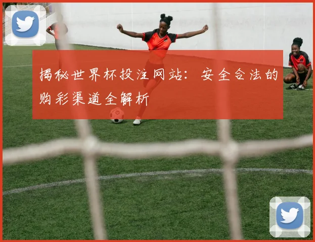 揭秘世界杯投注网站：安全合法的购彩渠道全解析