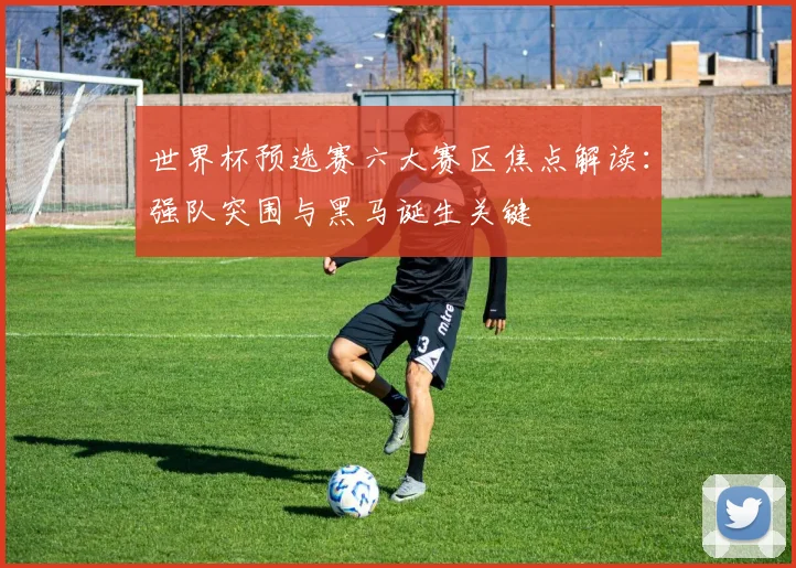 世界杯预选赛六大赛区焦点解读：强队突围与黑马诞生关键