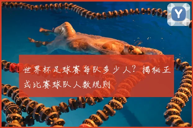 世界杯足球赛每队多少人？揭秘正式比赛球队人数规则