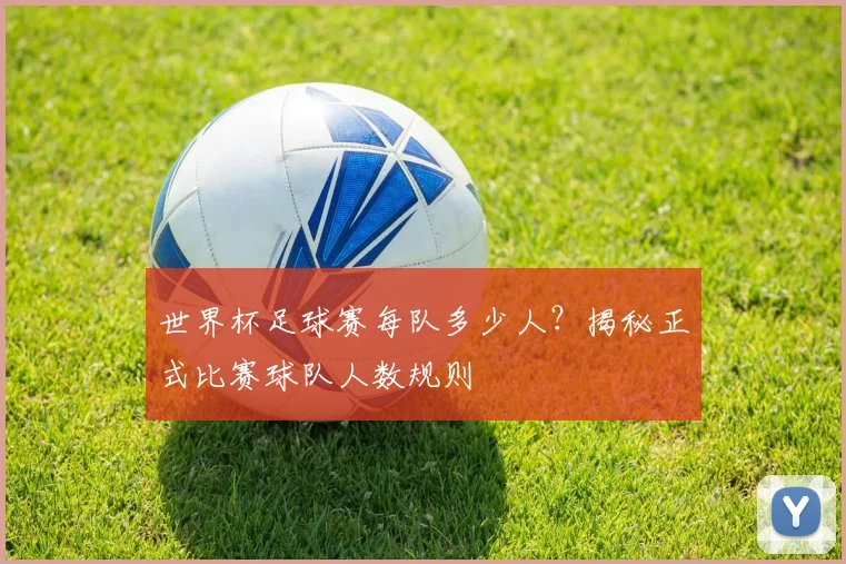 世界杯足球赛每队多少人？揭秘正式比赛球队人数规则