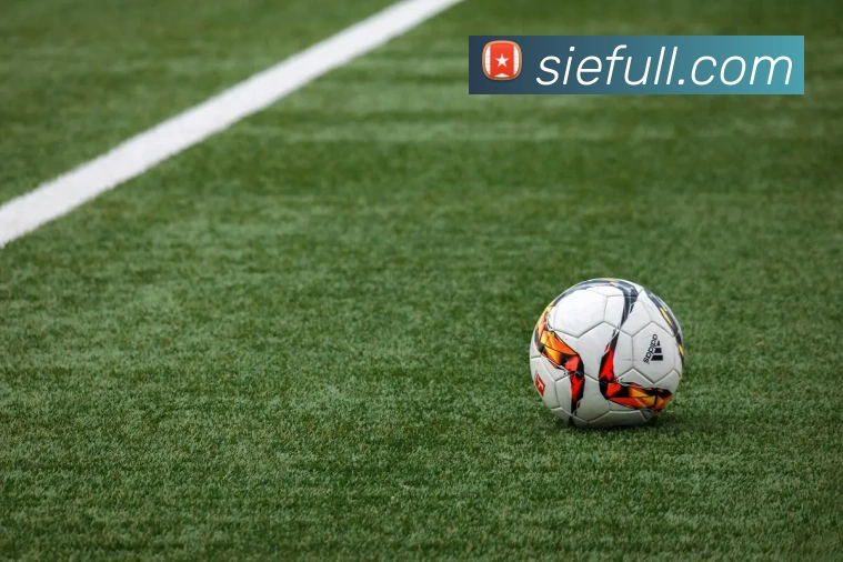 世界杯足球赛每队多少人？揭秘正式比赛球队人数规则